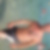 Photo de profil de Sebastien Caron