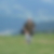 Photo de profil de Claude Matte