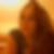 Photo de profil de Laurène Fillet