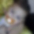 Photo de profil de Maatar Moun
