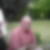 Photo de profil de Patrick Bigot