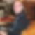 Photo de profil de Michel Tacaille