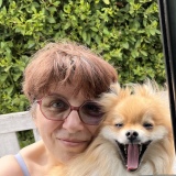 Photo de profil de Isabelle Hervé
