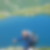 Photo de profil de Andre Tascher