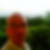 Photo de profil de Yann Lemoine
