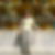 Photo de profil de Roselyne Gravez