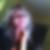 Photo de profil de Angèle Rostan