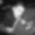 Photo de profil de Laurent Angevin
