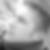 Photo de profil de Guillaume Chaigne