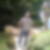 Photo de profil de Guillaume Roy