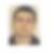 Photo de profil de Bertrand Blot