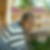 Photo de profil de Yannick Andre