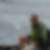 Photo de profil de Christophe Vahe