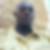Photo de profil de Omar Ouledi