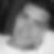 Photo de profil de Thibaut Branellec