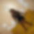 Photo de profil de Marie - Line Lafable