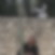 Photo de profil de Brigitte Gonon