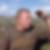 Photo de profil de Frederic Bertrand
