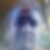 Photo de profil de Pierre Timmermans