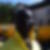 Photo de profil de Simplice Mapouka