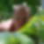 Photo de profil de Yann Hauwel