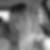 Photo de profil de Lydie Tramond