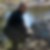 Photo de profil de Toussaint Pasqualini