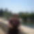 Photo de profil de Pascale Thomas