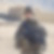 Photo de profil de Frederic Spurling