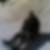 Photo de profil de Damien Pontout