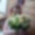 Photo de profil de Marina Person