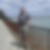 Photo de profil de Philippe Bobin