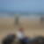Photo de profil de Vincent Raymond