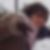 Photo de profil de Celine Beasse