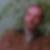 Photo de profil de Daniel de Roeck