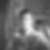 Photo de profil de Gregory Gout