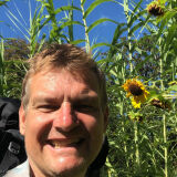 Photo de profil de Sylvain Boureau