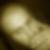 Photo de profil de Sebastien Servanty
