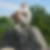 Photo de profil de Jean Pierre Theodon