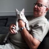 Photo de profil de Jean-Pierre Le Marec