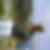 Photo de profil de Alain Benhaim