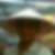 Photo de profil de Phirith Top