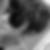 Photo de profil de Jules Bigot