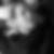 Photo de profil de Richard Adenot