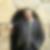 Photo de profil de Benjamin Henry