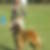 Photo de profil de Jocelyne Lecompte