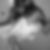 Photo de profil de Florine Ringeard