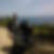 Photo de profil de Frederic Taurines