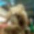 Photo de profil de Karen Darmente