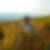 Photo de profil de Jean-Luc Levacher